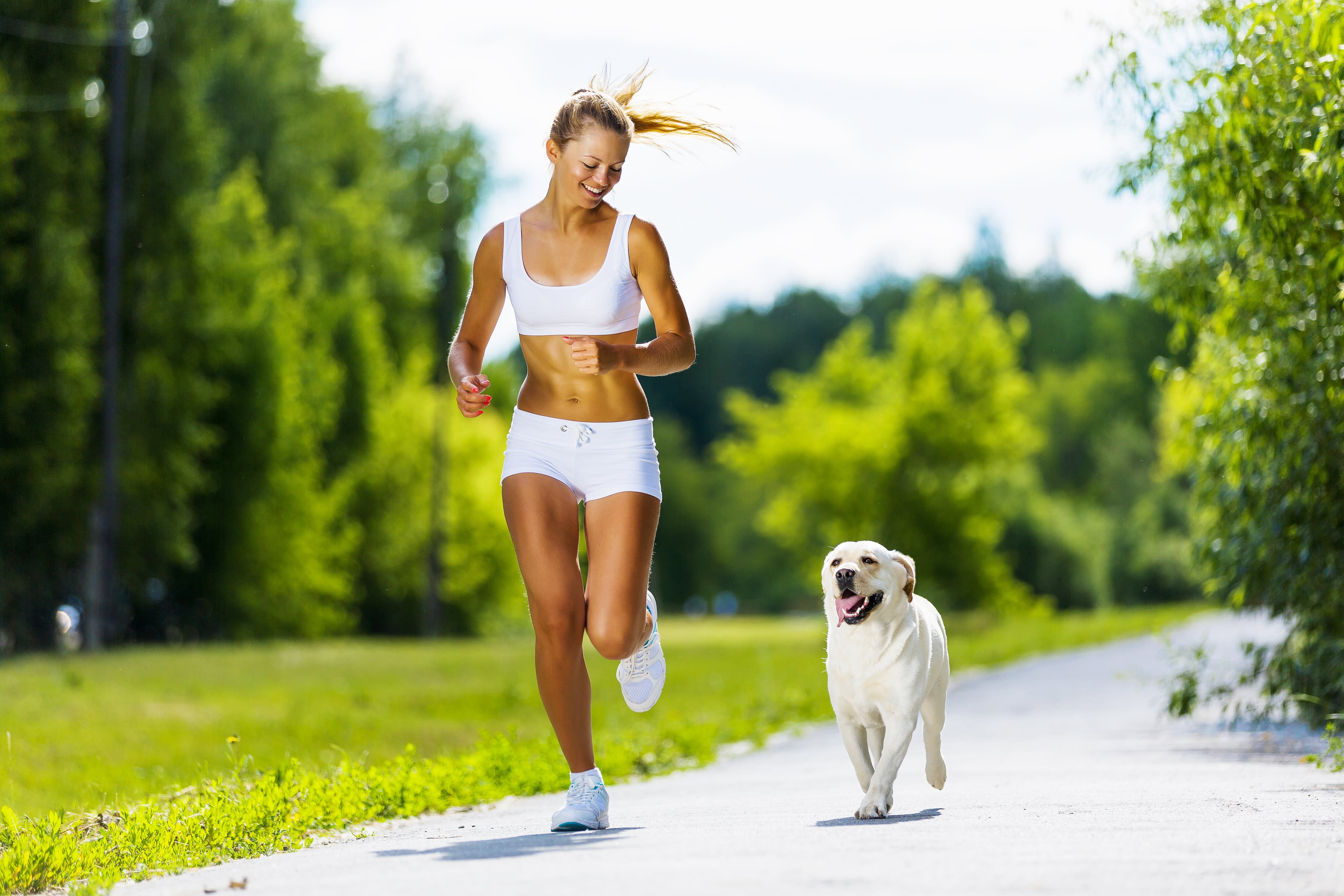 Running Tips When Training with Your Dog