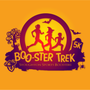 Viking Booster Trek