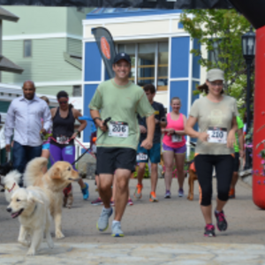 Running of the Bears 5K
