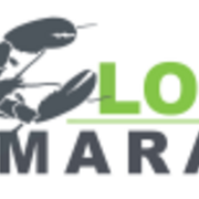 Twin Lobster Half Marathon