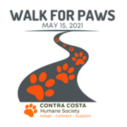 Walk for Paws