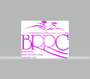 BRRC Sundae Sunday 10-Miler