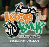 Loop the Lemur at the Ross Park Zoo