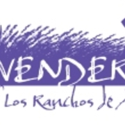 LAVENDER RUN