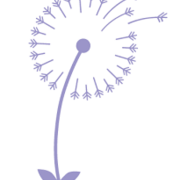 Wishing Flower Walk & 5k