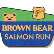 Brown Bear Salmon Run