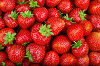 Strawberry 5K Run/Walk