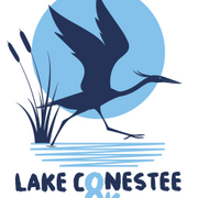 Lake Conestee 8k Run/Walk