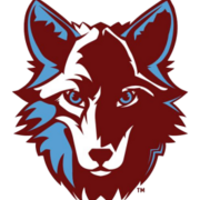 Okemos Wolf Run and Walk 2025 "The Mascot Trot 5K"