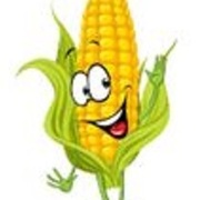 Run for the Corn