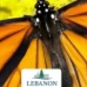 Monarch Run