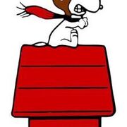 Run! Run! Snoopy 5k & Fun Run