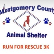 Run For Rescue 3K