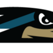 3rd Annual Seahawks 5k Run