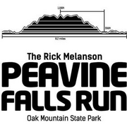 BTC Peavine Falls Run
