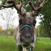 Sleigh Me Ultras