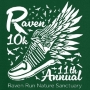 The Raven 10K