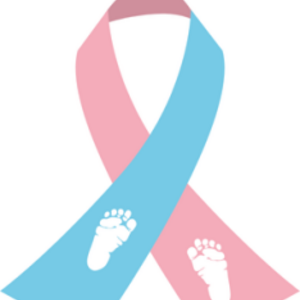 Baby Steps 5k Run/Walk Kalamazoo