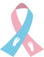Baby Steps 5k Run/Walk Kalamazoo