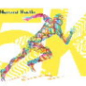 13th Annual Harvest Hustle 5K