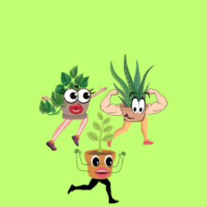 Welcome Home Plants 5k