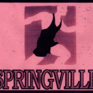 Springville 5k