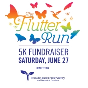 The Flutter Run