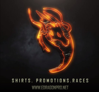 E-Dragon Run Festival