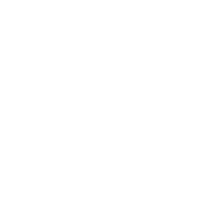 Ryan's Ranch Run