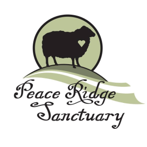 Peace Ridge Sanctuary’s 5k Run for the Animals & 1 Mile Fun Walk