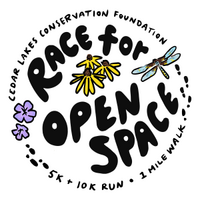 Race For Open Space
