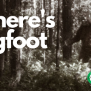 Where's Bigfoot 5k