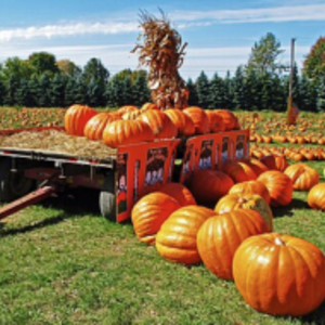 Kennekuk Road Runners - Fall Frenzy