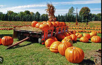 Kennekuk Road Runners - Fall Frenzy