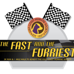 The Fast & The Furriest