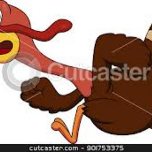 Thanksgiving Day Turkey Run & Walk