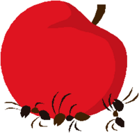 Springville Apple Run