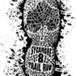 Sycamore 8