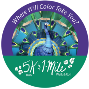Where Will Color Take You?