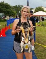 THe Dunedin Dog n' Suds Summer 5K At HOB Brewing Company In Downtown Dunedin
