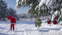 Frosty Forest 5k
