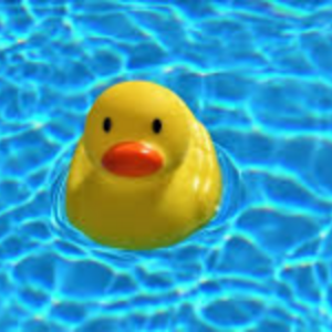 Duck Dash 5k Run / Walk & Kids Race