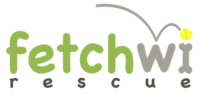 Fetch 5K