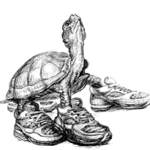 Turtle Trot 5K, 10K, Fun Run and Brunch!