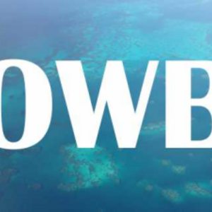 Open Water Bermuda - National Championships