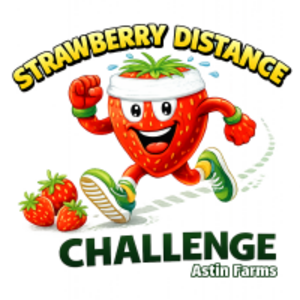 SDC 2027 (Strawberry Distance Challenge)