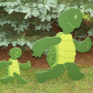 Louisville Turtle Trot Walk/Run