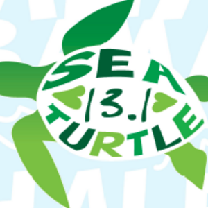 Sea Turtle & Sweetheart Running Festival