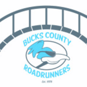 B2B, Bridge to Bridge Relay Run