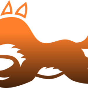 Fort4Fitness Fox Trot - GSNIM